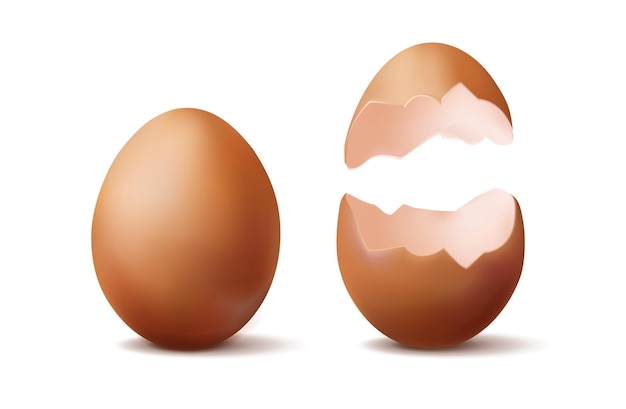 realistische vektorsymbolillustration. Ganzes braunes Ei und halbes zerbrochenes Ei.