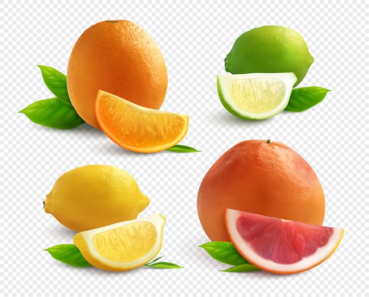 Kostenlose Vektor realistischer satz der zitrusfrüchte mit lyme-orangen-zitrone und grapefruit lokalisiert auf transparentem hintergrund