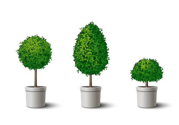 Kostenloser Vektor realistischer satz kleiner eingetopfter grüner bäume mit kronen verschiedener formen isolierte vektorillustration