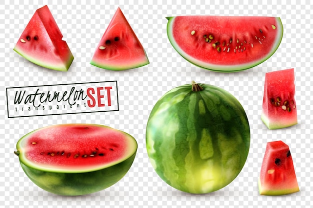 Realistischer Wassermelonensatz mit ganzen halben Viertelscheiben und Bissgrößenstücken transparenter Hintergrund isolierte Illustration