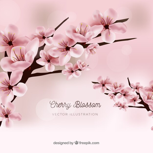 Realistisches Kirschblüten-Hintergrunddesign