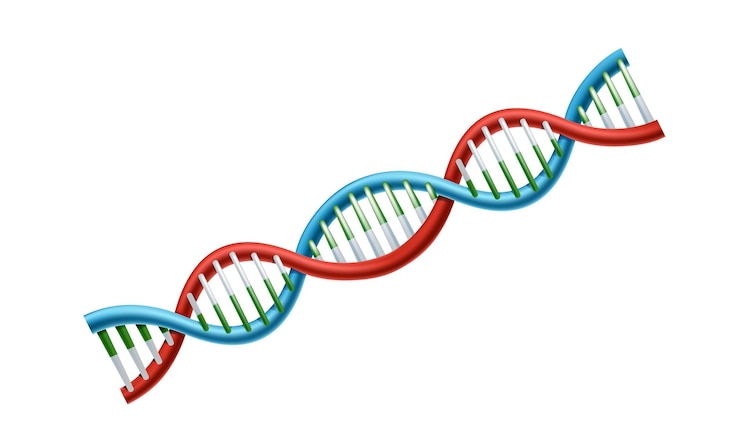 Kostenlose Vektor realistisches vektorsymbol der dna. medizinisches konzept und element.