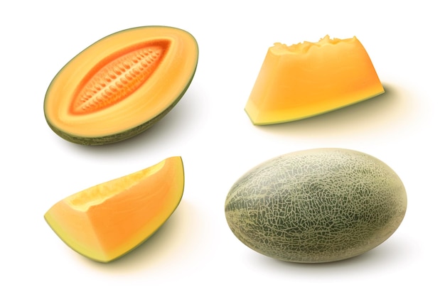 Reife saftige süße Melonenfrucht 3d