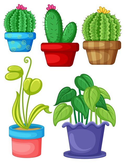 Reihe von verschiedenen Pflanzen in Töpfen