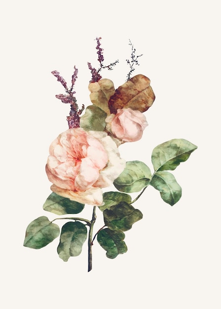 Rosenblumenstrauß-Illustrationsvektor