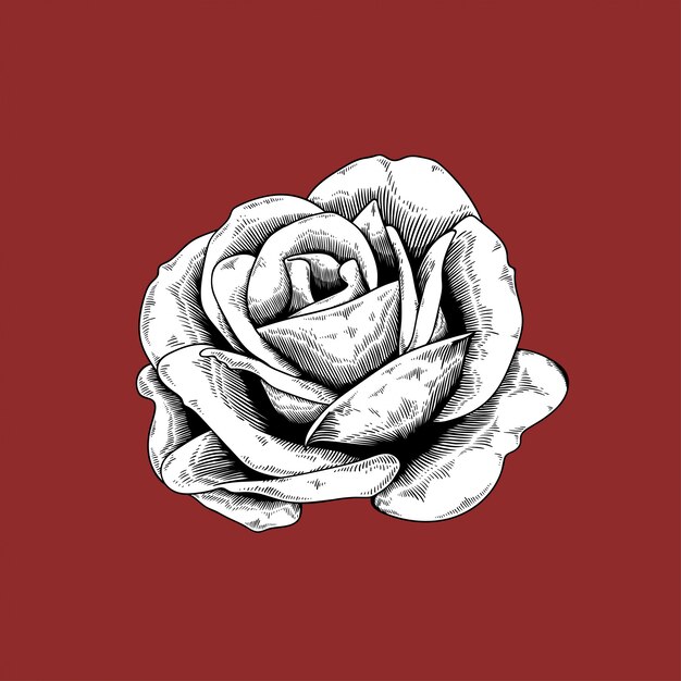 Rosenzeichnungsblumennatur-Vektorikone auf rotem Hintergrund