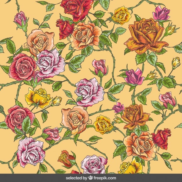 Roses background