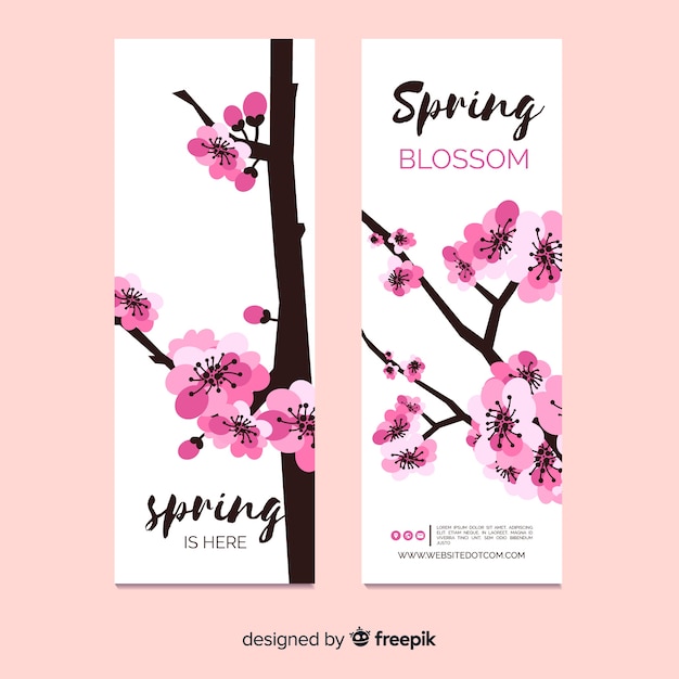 Sakura baum frühling banner