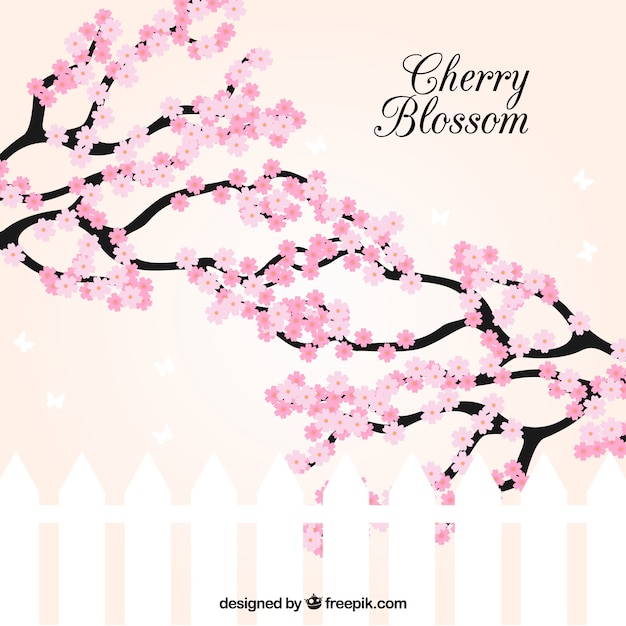 Sakura-Hintergrund im flachen Design