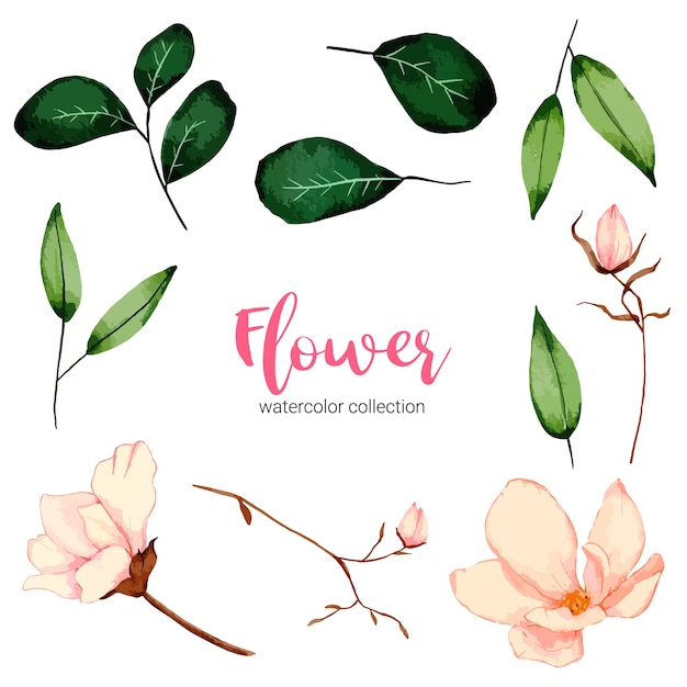 Sammlung der schönen Blume der Aquarellillustration