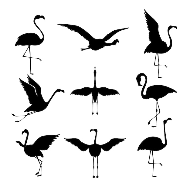 Kostenloser Vektor sammlung flacher flamingo-silhouetten