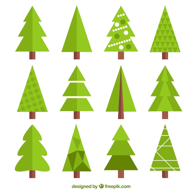 Bilder Tannenbaum Gratis Vektoren Fotos Und Psds