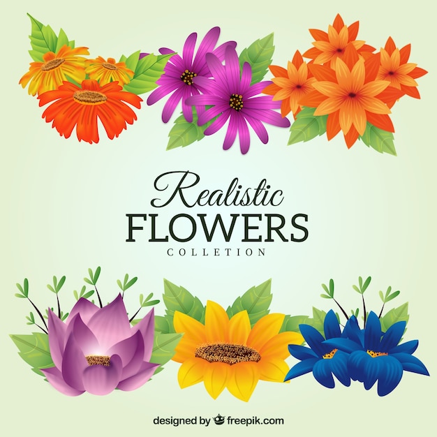 Sammlung von bunten Blumen im realistischen Stil