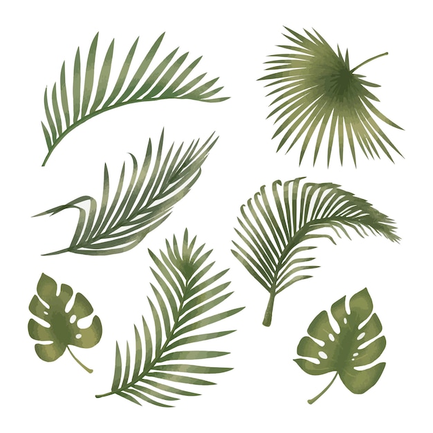 Kostenloser Vektor sammlung von grünen palmblättern tropische pflanzen isoliert auf weißem hintergrund