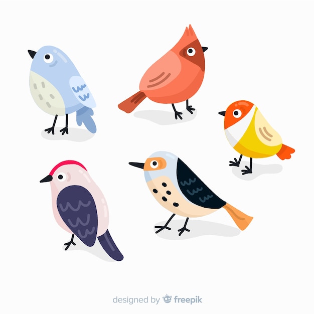 Sammlung von hand gezeichneten vögeln