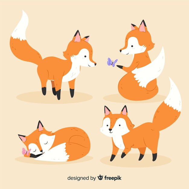 Bilder Fuchs Gratis Vektoren Fotos Und Psds