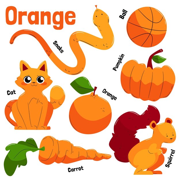 Sammlung von orangefarbenen Objekten und Vokabeln in Englisch