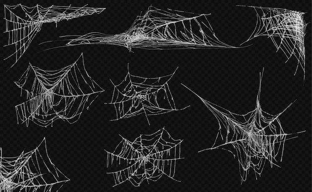 Kostenloser Vektor sammlung von spinnweben-formen
