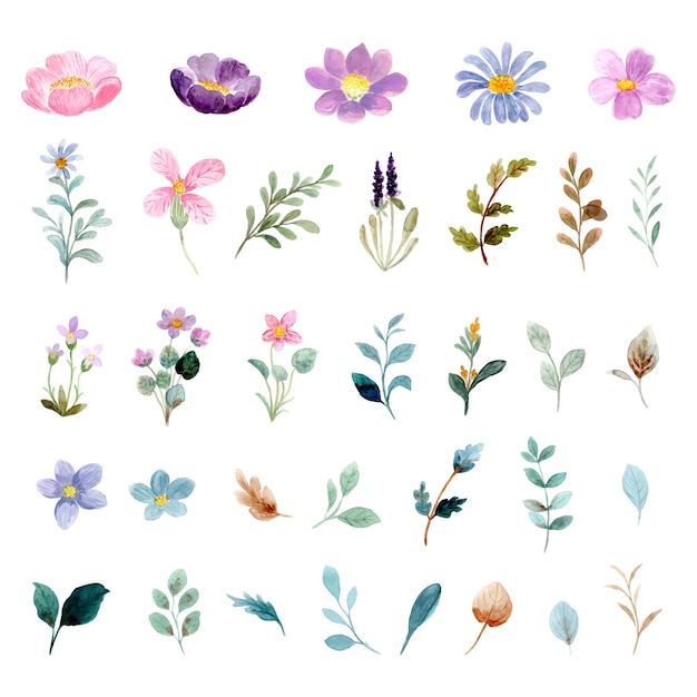 Sammlung wilder Blumenelemente des Aquarells