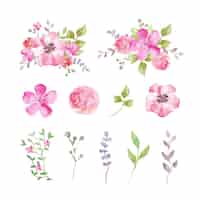 Kostenloser Vektor satz aquarellblumen und -blätter in den rosa tönen