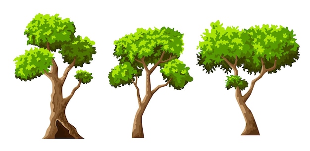 Satz bäume mit grünem laub im cartoon-stil vektor in flacher illustration