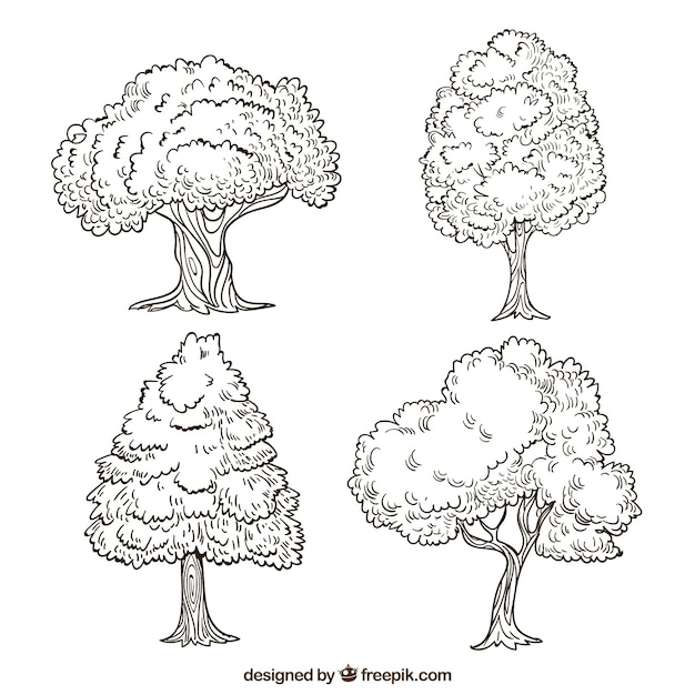 Kostenloser Vektor satz gezeichnete art der bäume in der hand
