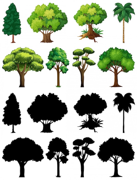 Kostenloser Vektor satz pflanze und baum mit seiner silhouette