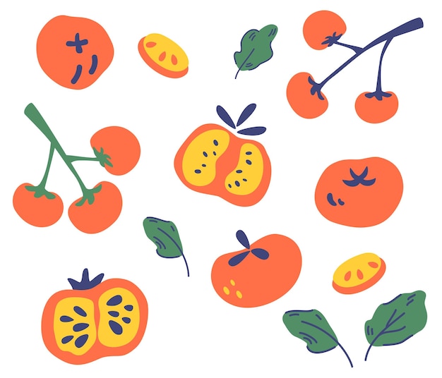 Satz tomaten. verschiedene tomatensorten. ganze, in scheiben geschnittene, viertel, halbe tomate. gemüse, vegetarier, veganes gesundes essen. für dekor, küche, menü, geschäft, restaurant. vektor-illustration