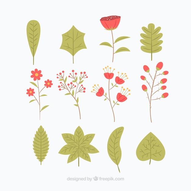Satz von Blumen und Blätter in flaches Design