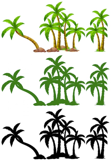 Kostenloser Vektor satz von palme