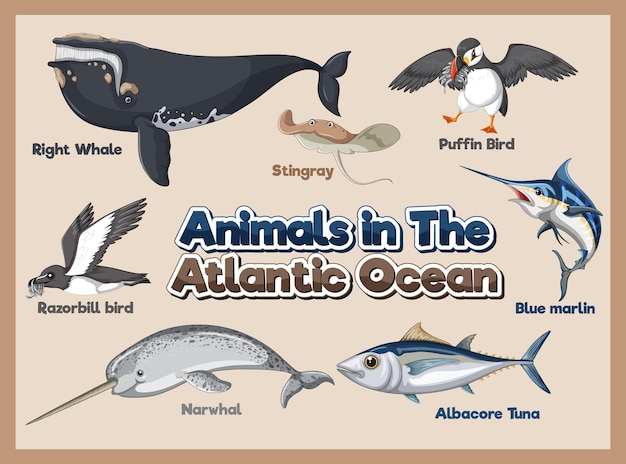 Satz von tieren im atlantischen ozean