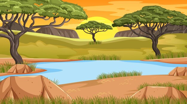 Savannenwaldlandschaft bei Sonnenuntergang