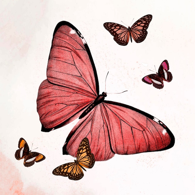 Schmetterling roter Illustrationsvektor, remixed aus Vintage-Public-Domain-Bildern