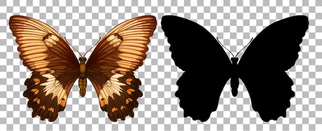 Kostenloser Vektor schmetterling und seine silhouette auf transparent