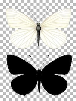 Bilder Schmetterling Silhouette Gratis Vektoren Fotos Und Psds