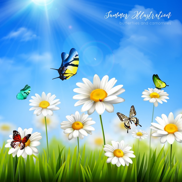 Schöne bunte Schmetterlinge und grünes Gras mit Kamille blüht flachen Vektor illustra des Hintergrundes