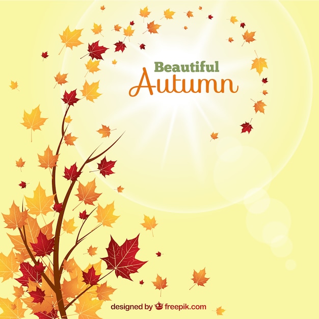 Schöne Herbst Hintergrund