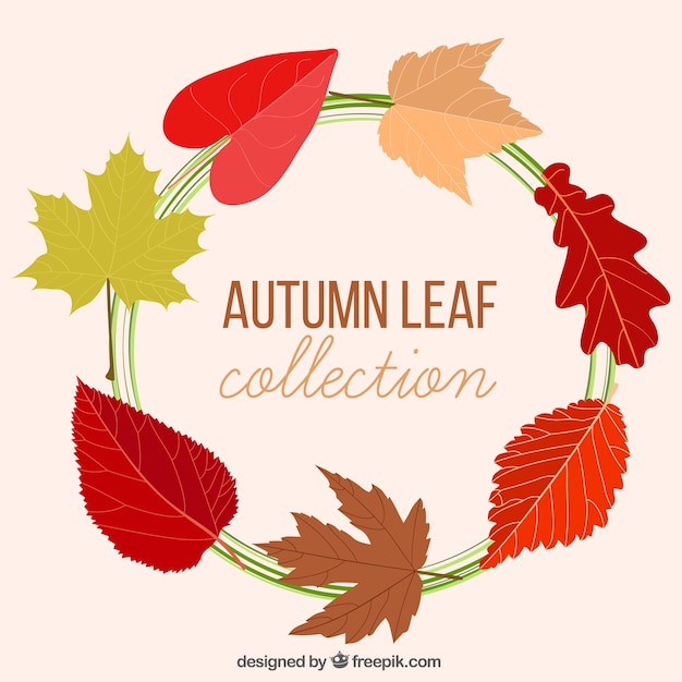 Schöne Herbstkranz