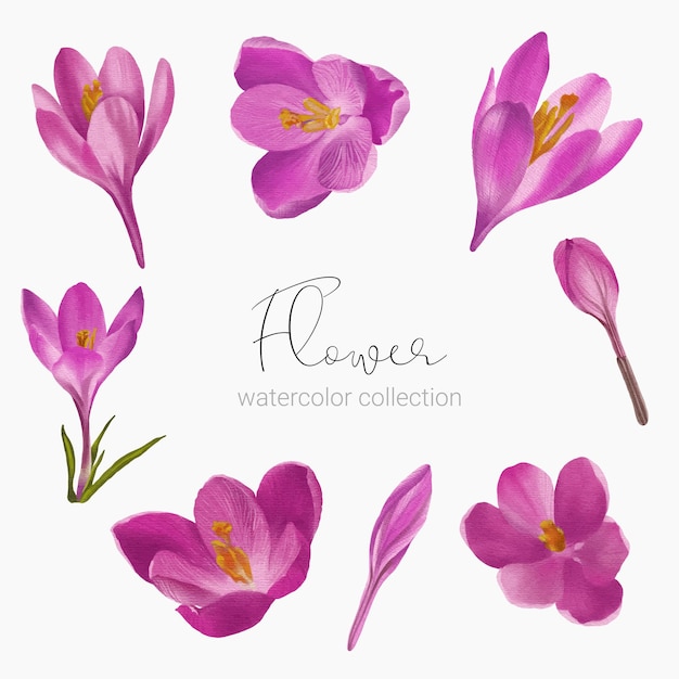 Schöner Blumenstrauß und Blätter im Aquarellstil