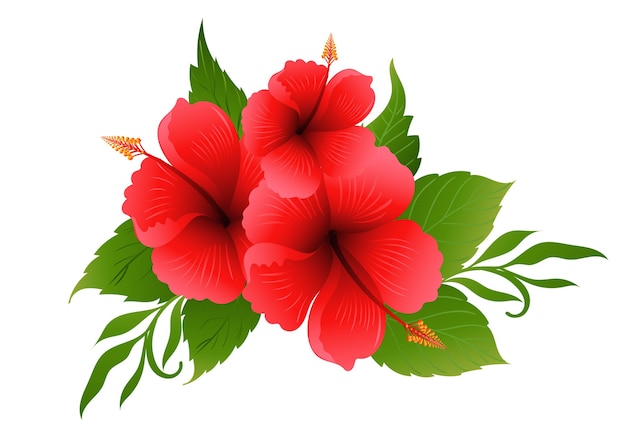 Kostenloser Vektor schöner roter hibiskus-blumenentwurf