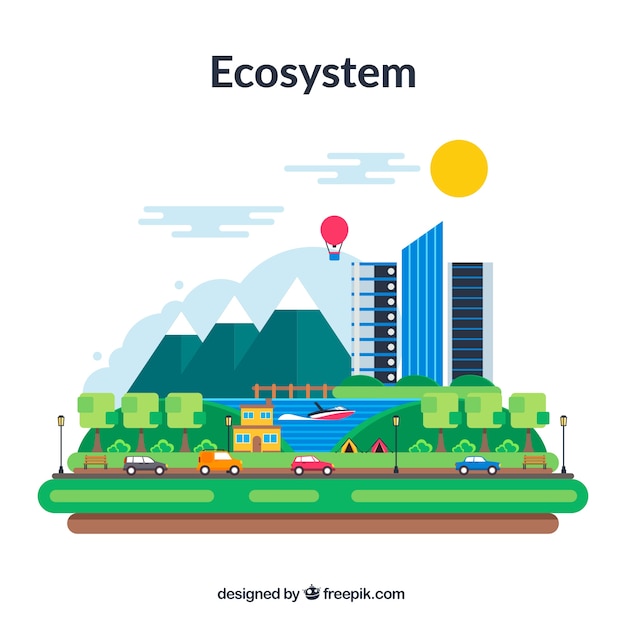 Schönes ökosystem-konzept mit flachem design