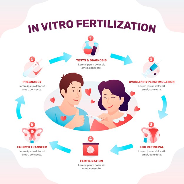 Schwangerschaftsgradient ivf Infografik
