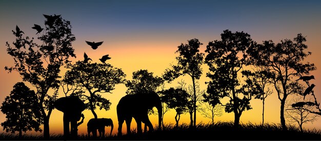 Afrikanische Landschaft Silhouette Kostenlose Vektor