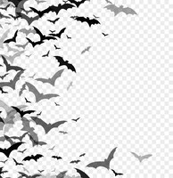 Kostenloser Vektor schwarze silhouette von fledermäusen auf transparentem hintergrund isoliert. halloween traditionelles gestaltungselement. vektorillustration eps10