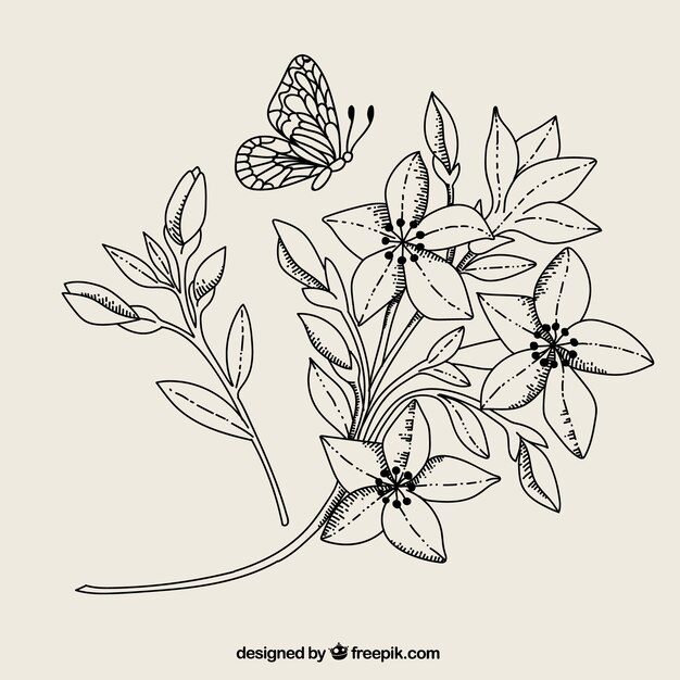 Schwarze und weiße Blume und Schmetterling