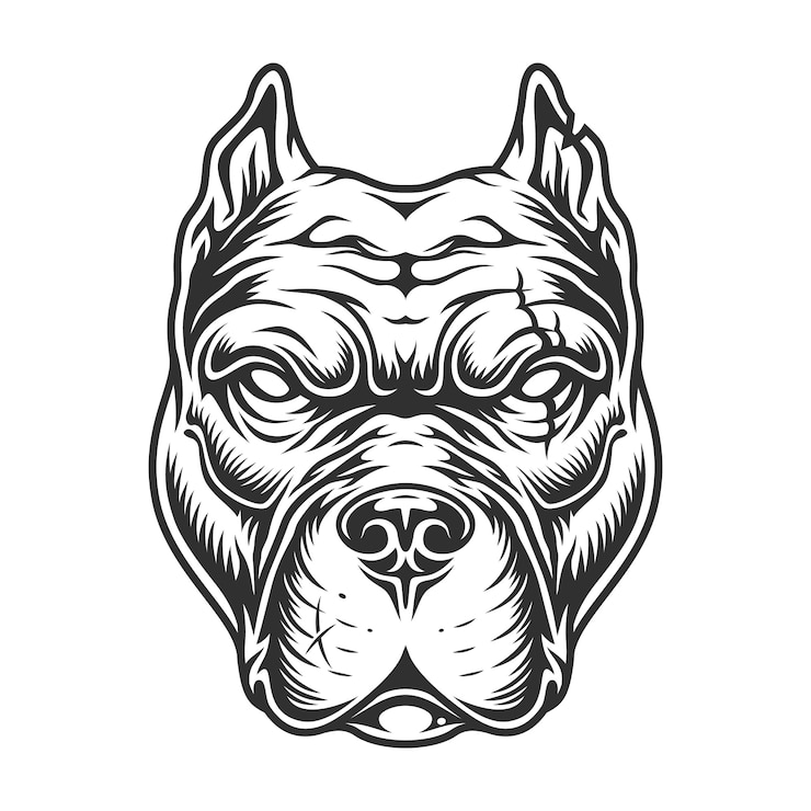 Kostenlose Vektor schwarzweiss-pitbullkopf