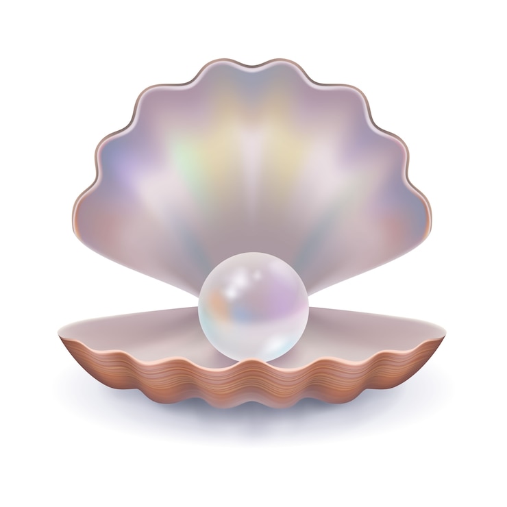 Kostenlose Vektor seashell mit einer perle
