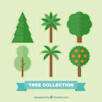 Kostenloser Vektor sechs flache stil bäume