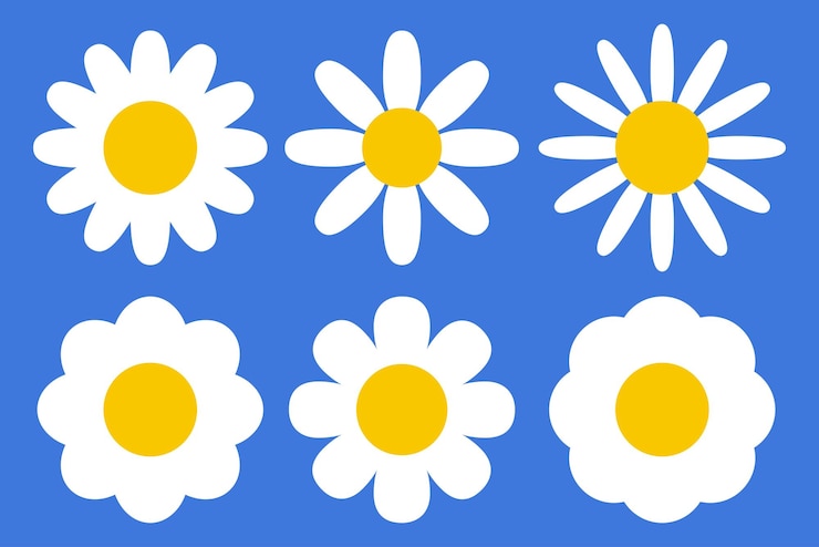 Kostenlose Vektor sechs gänseblümchen-blumen im flachen stil