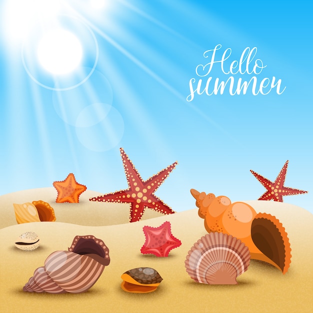 Seesterne am Strand Komposition Muscheln und Seesterne im Sand und Titel Hallo Sommer